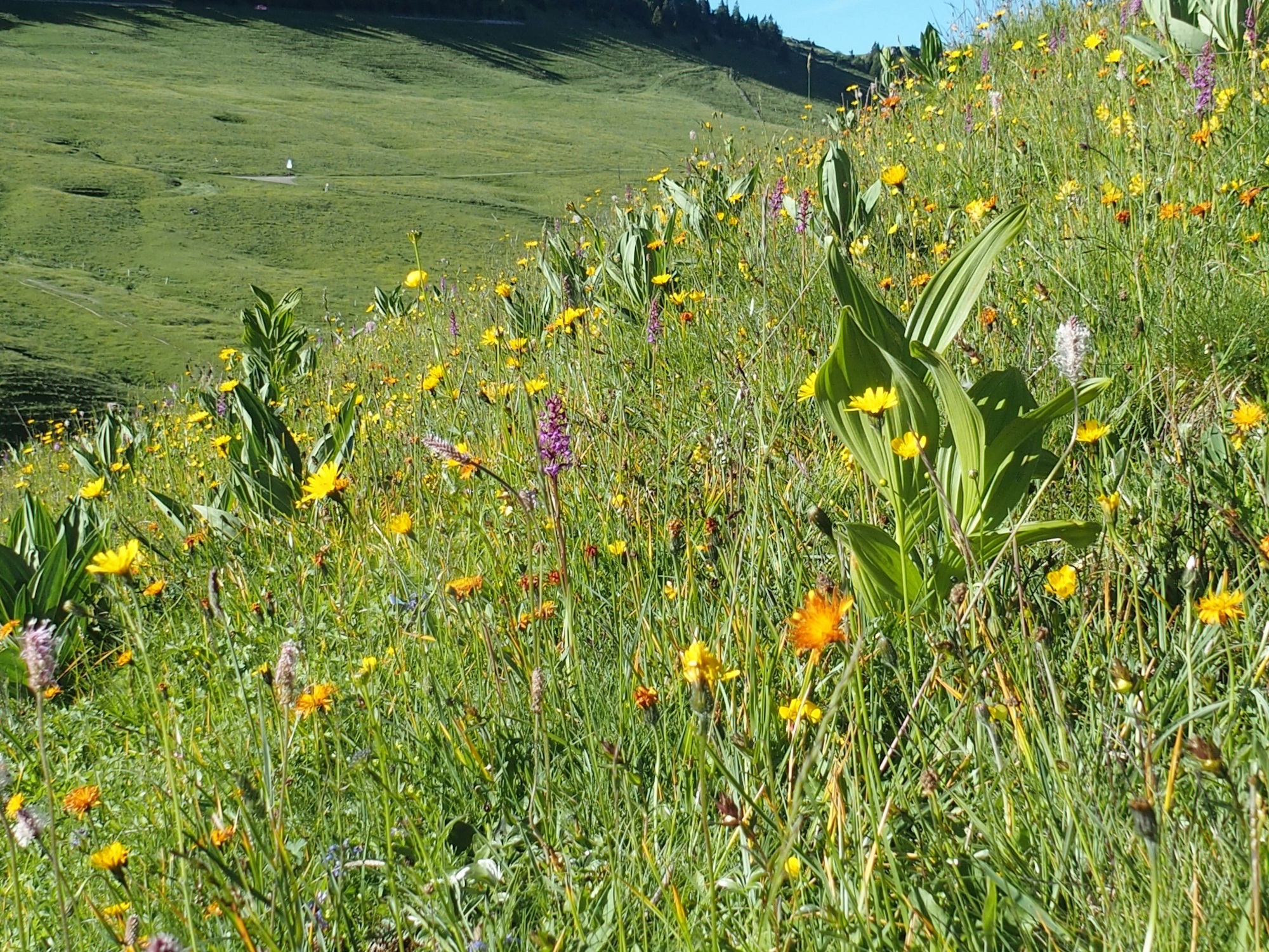 Vier geführte Ausflüge im Rahmen des Festivals der Natur